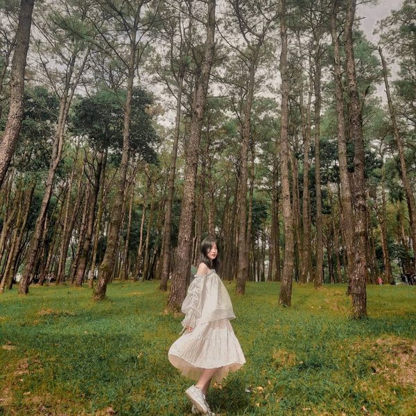 Bật mí cách chụp hình nghệ thuật bằng điện thoại ngay tại nhà